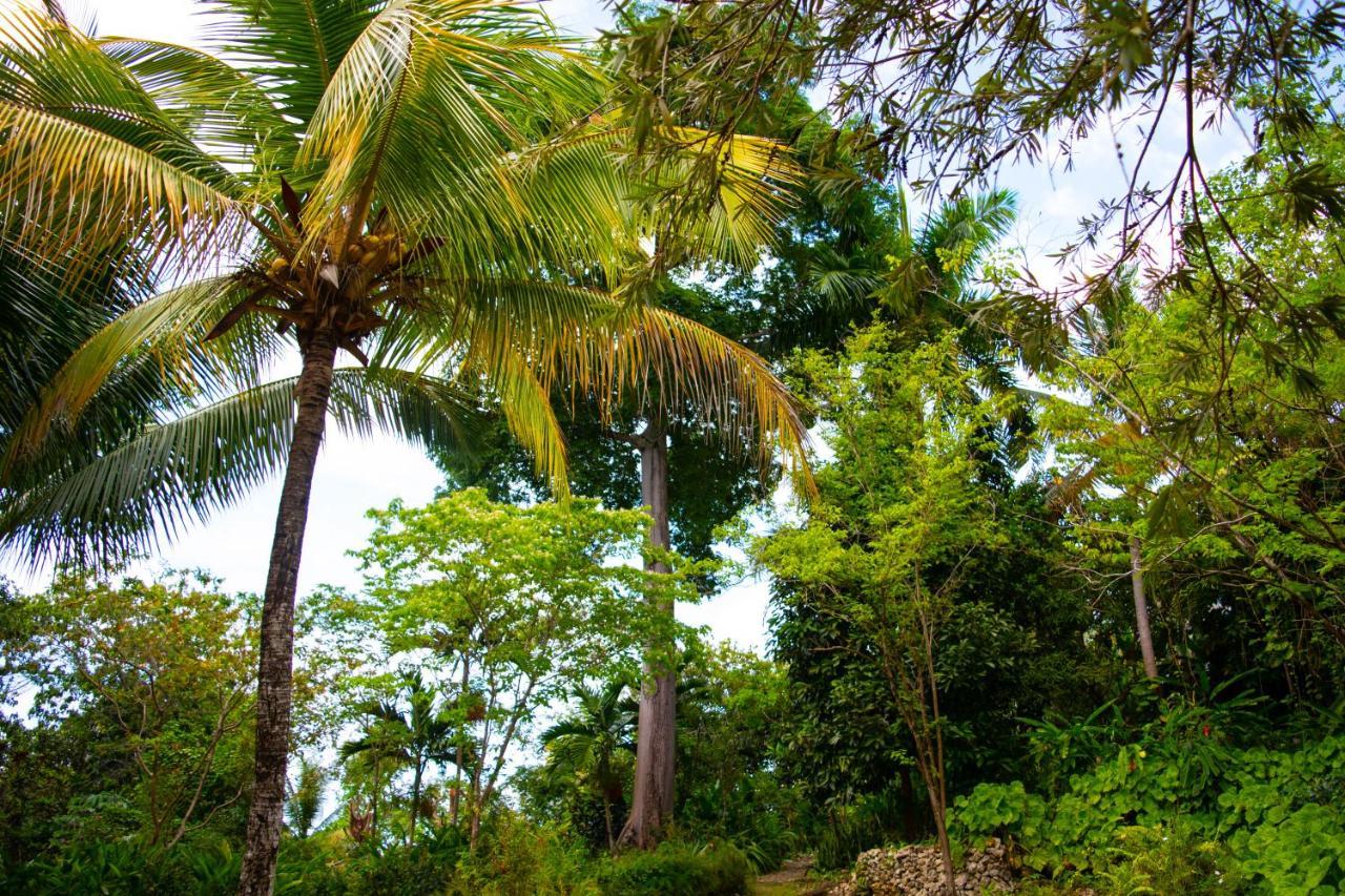 M Hotel Port Antonio Exterior foto